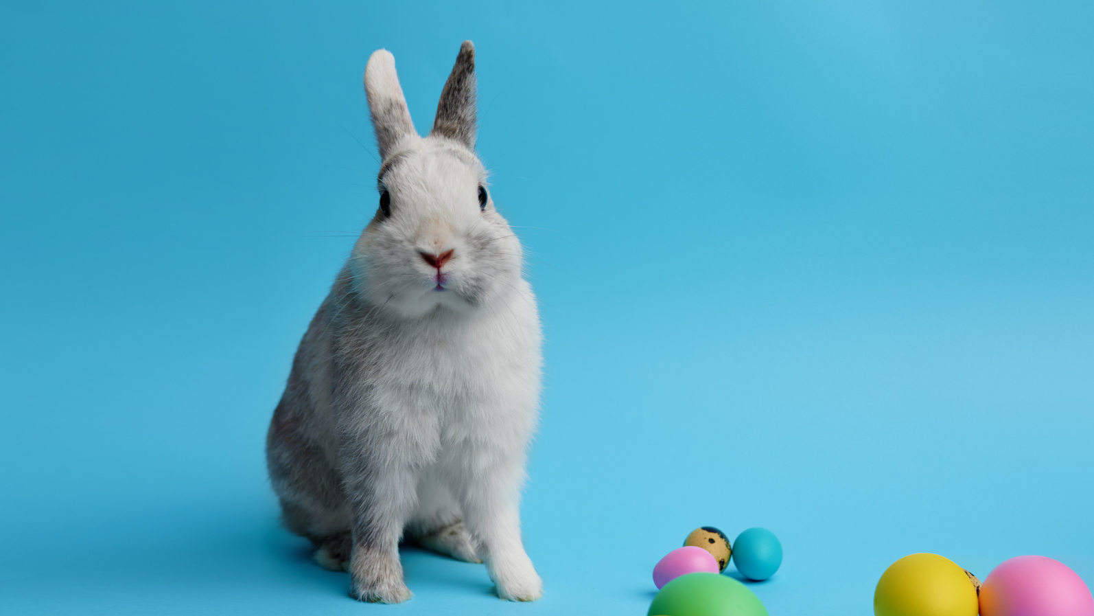 Osterferienprogramm 2026 – Schwimmkurs und mehr in München