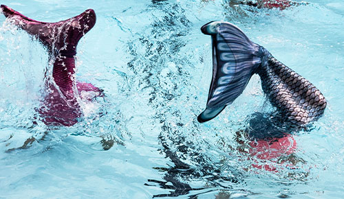 Monoflossenschwimmen